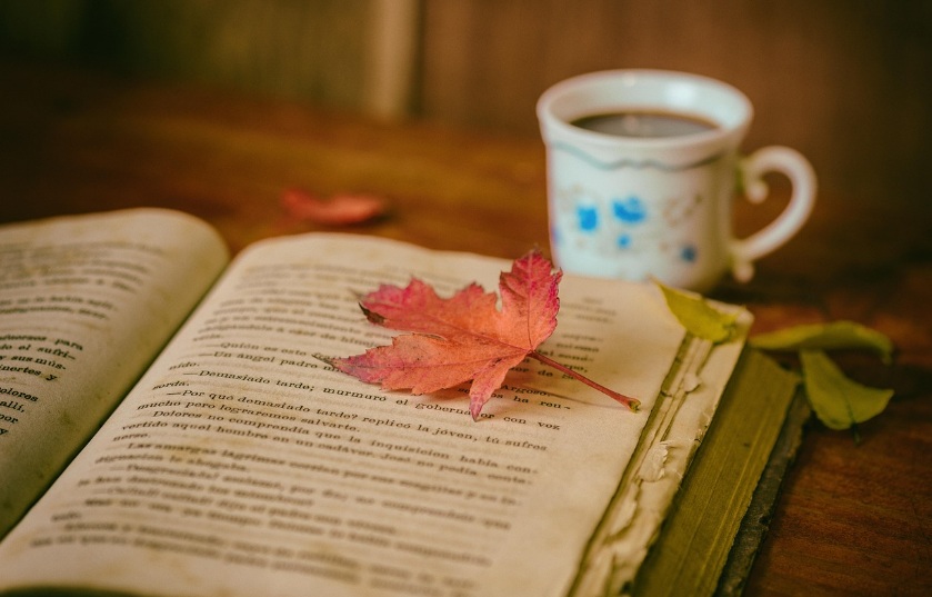 心理系に興味のある方にお役に立つ本