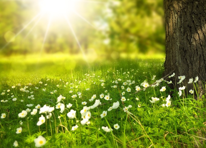 頑張りすぎが呼吸を浅くする。一日10回、意識的なあくびのすすめ